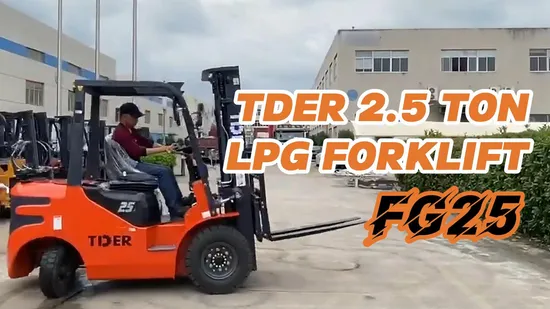 Tder China Brand LPG Forklift Trucks Liquefied Natural Gas Forklift Trucks with Toyota Seats for Sale 